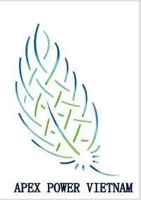 APEX POWER VIETNAM COMPANY LIMITED logo 1